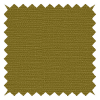 Panama Evergreen Gardin