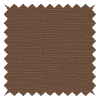 Panama Golden Haze Gardin